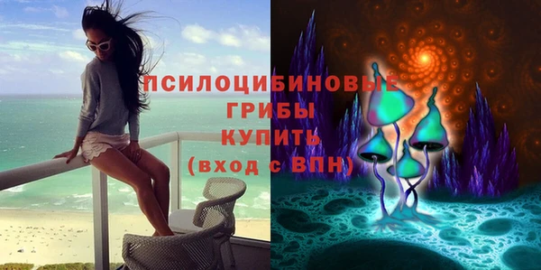 метадон Алзамай