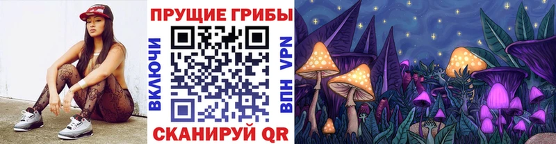 даркнет официальный сайт  ссылка на мегу вход  Ленинск-Кузнецкий  Псилоцибиновые грибы Psilocybe 